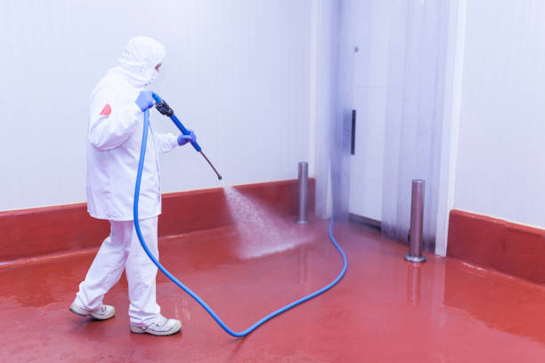 Best Graffiti Removal  in Wallace, ID