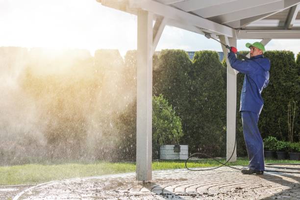 Best Pre-Holiday Cleaning  in Wallace, ID